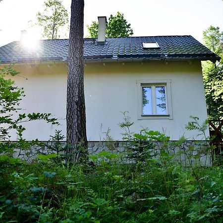 Gorski Domek Kolo Karpacza- Apartamentuj Εξωτερικό φωτογραφία